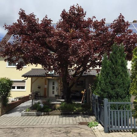Apartmentvermietung Ingrid Bolkart - Landleben 6 Illertissen Luaran gambar